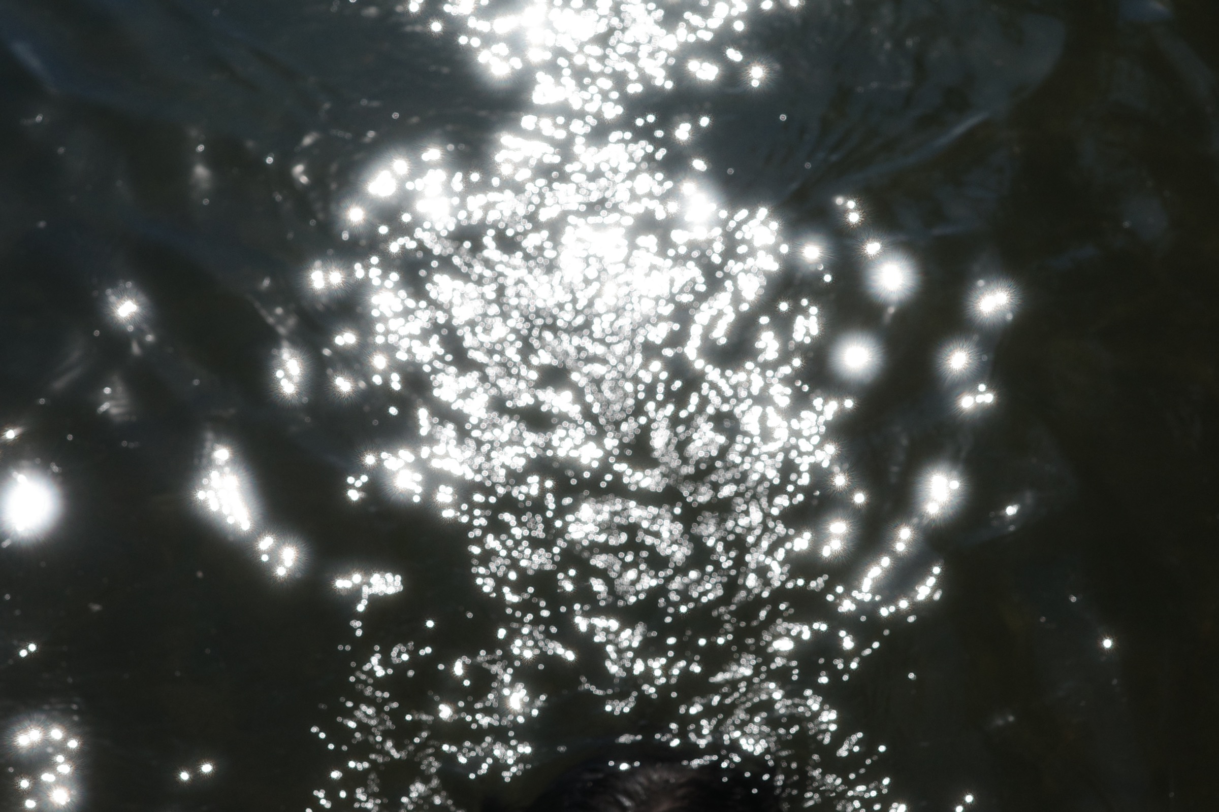 Summer sunlight scattered across the dark surface of the water at Marymoor Park