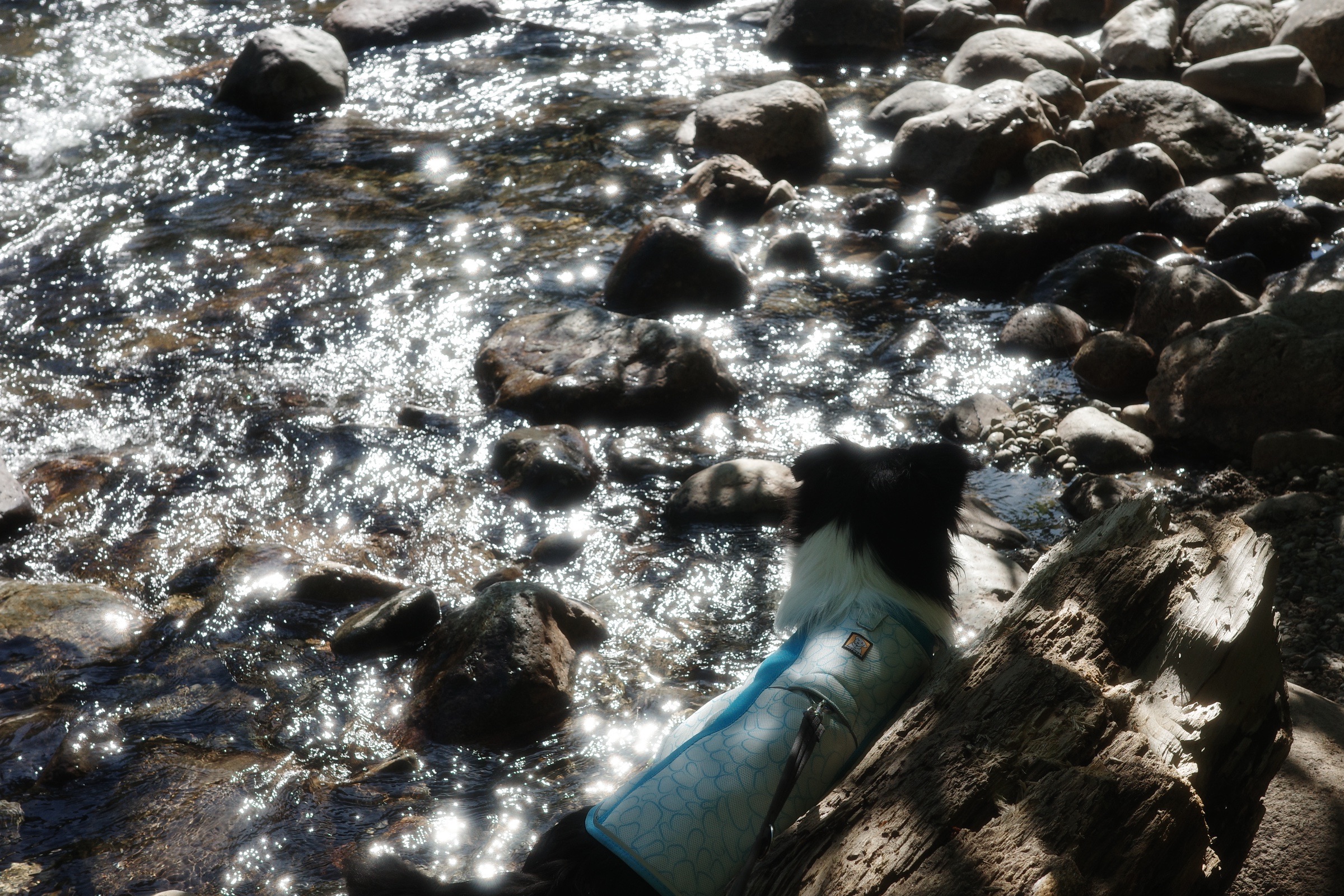 Ash sitting beside a sparkling rocky creek in her blue cooling vest